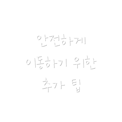 안전하게 이동하기 위한 추가 팁