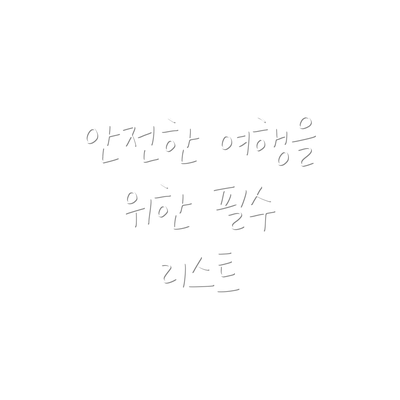 안전한 여행을 위한 필수 리스트