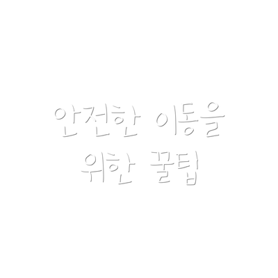 안전한 이동을 위한 꿀팁