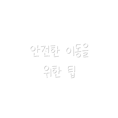 안전한 이동을 위한 팁