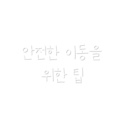 안전한 이동을 위한 팁