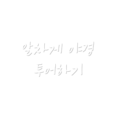 알차게 야경 투어하기
