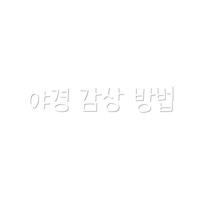 야경 감상 방법