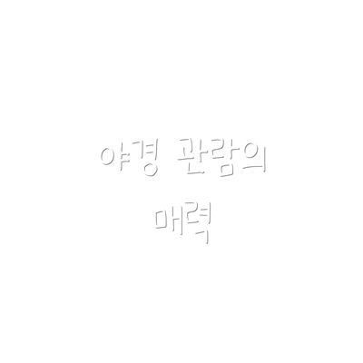 야경 관람의 매력