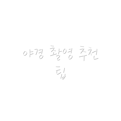 야경 촬영 추천 팁