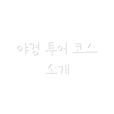 야경 투어 코스 소개