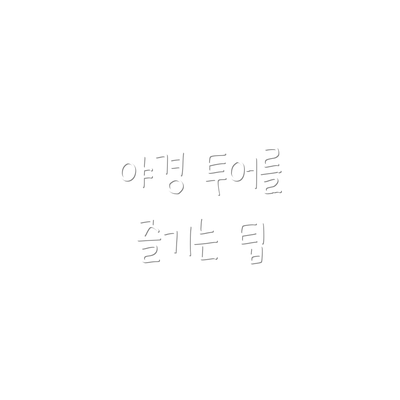 야경 투어를 즐기는 팁