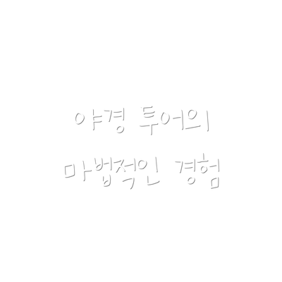 야경 투어의 마법적인 경험
