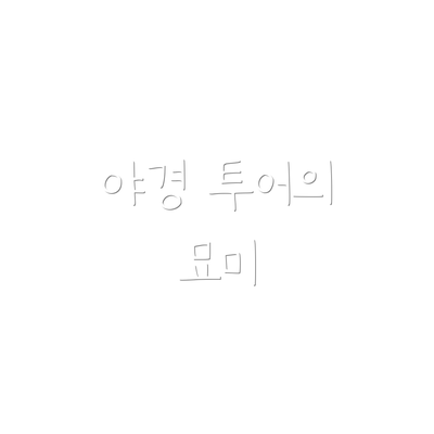 야경 투어의 묘미