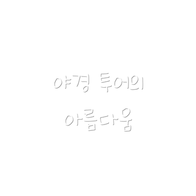 야경 투어의 아름다움