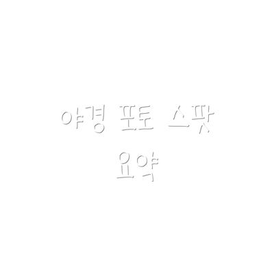 야경 포토 스팟 요약
