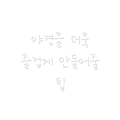 야경을 더욱 즐겁게 만들어줄 팁
