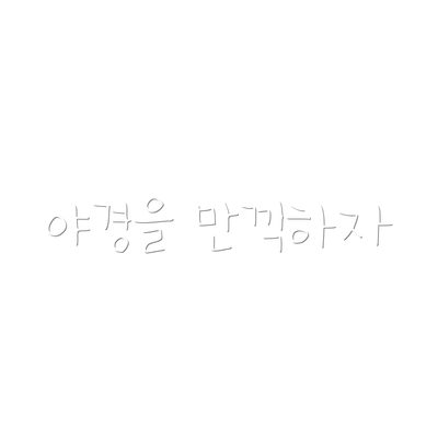 야경을 만끽하자