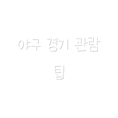 야구 경기 관람 팁