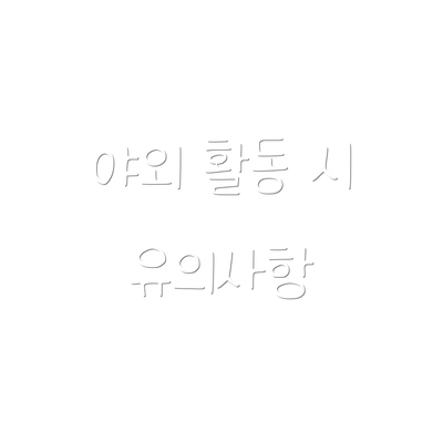 야외 활동 시 유의사항