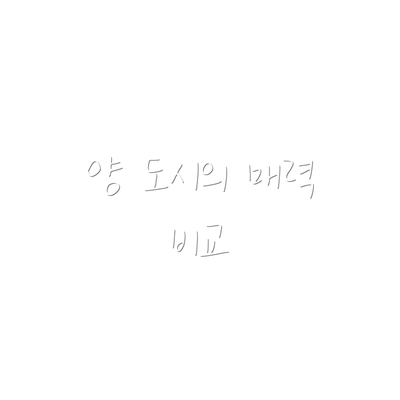 양 도시의 매력 비교
