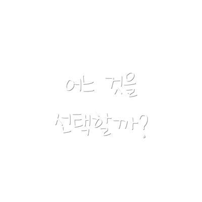 어느 것을 선택할까?