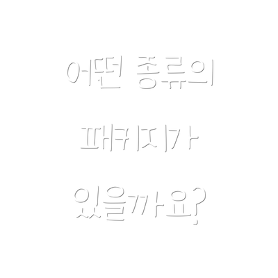 어떤 종류의 패키지가 있을까요?