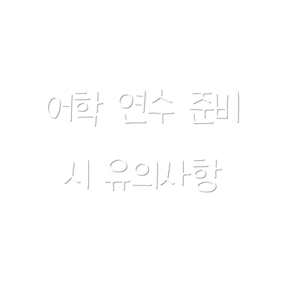 어학 연수 준비 시 유의사항