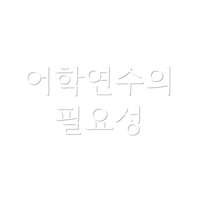 어학연수의 필요성