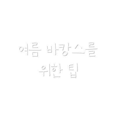 여름 바캉스를 위한 팁