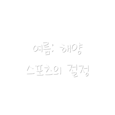 여름: 해양 스포츠의 절정