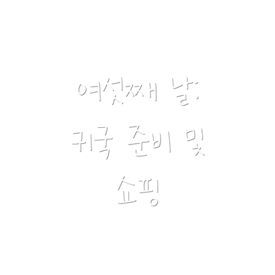 여섯째 날: 귀국 준비 및 쇼핑