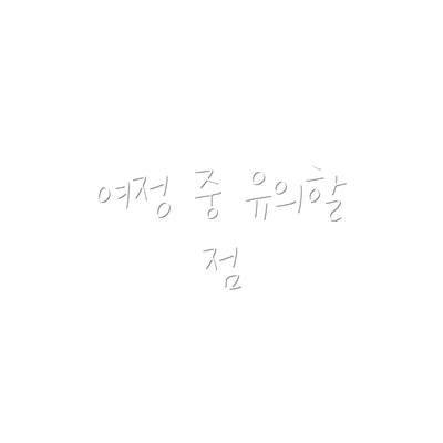여정 중 유의할 점