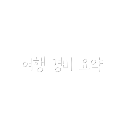 여행 경비 요약