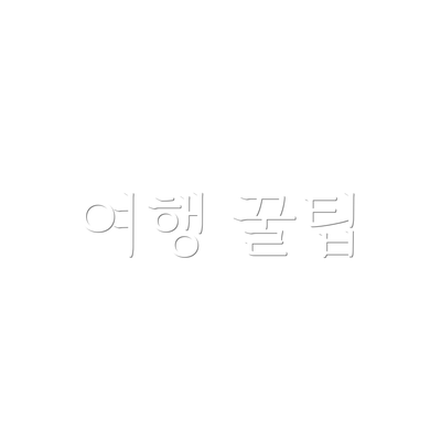 여행 꿀팁