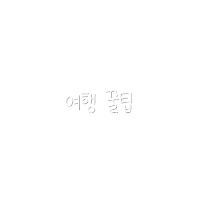 여행 꿀팁