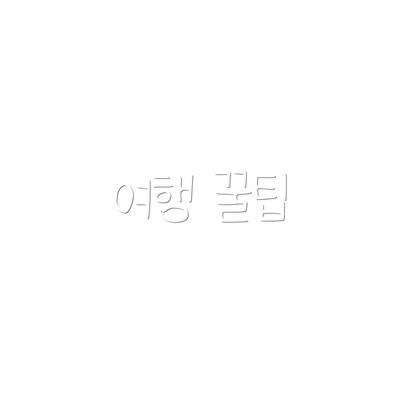 여행 꿀팁