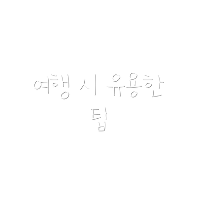 여행 시 유용한 팁