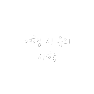 여행 시 유의 사항
