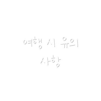 여행 시 유의 사항