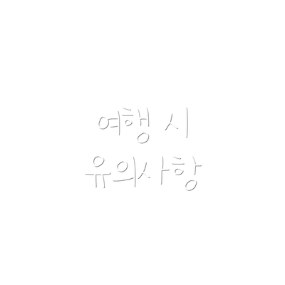 여행 시 유의사항