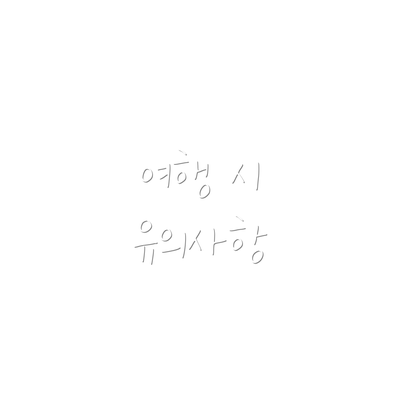 여행 시 유의사항