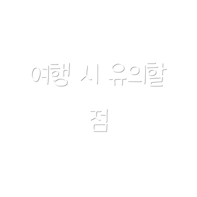 여행 시 유의할 점