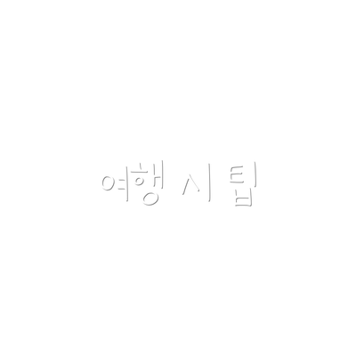 여행 시 팁