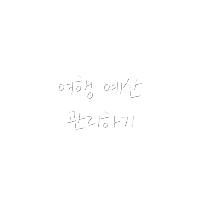 여행 예산 관리하기