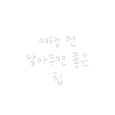 여행 전 알아두면 좋은 팁