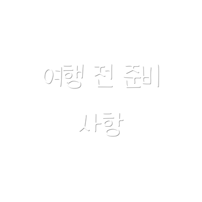 여행 전 준비 사항