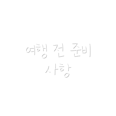 여행 전 준비 사항