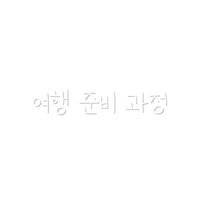 여행 준비 과정