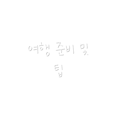 여행 준비 및 팁