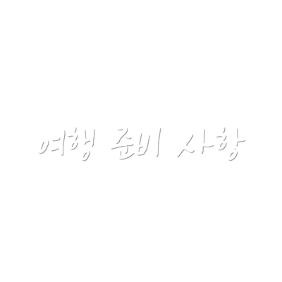여행 준비 사항
