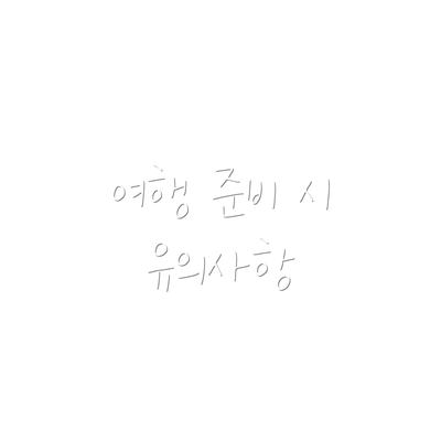 여행 준비 시 유의사항