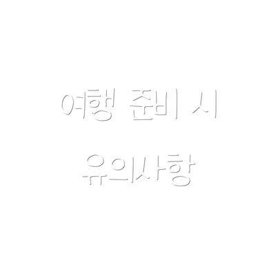 여행 준비 시 유의사항