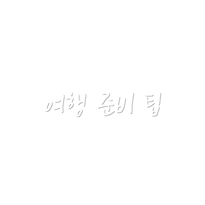 여행 준비 팁
