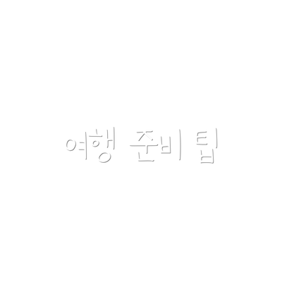 여행 준비 팁